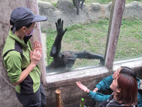 東海大學生命科學系動物行為學課程校外職場實習: 台北市立動物園深度參訪