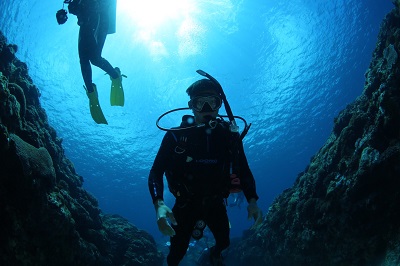 珊瑚礁生物多樣性與水下生態調查技術研習會
