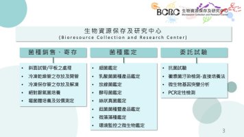 裝飾性圖片